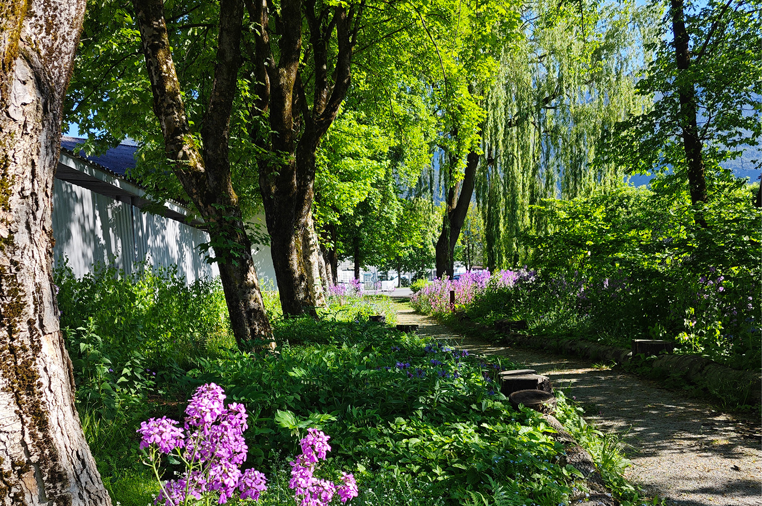 Allgemein Waldgarten