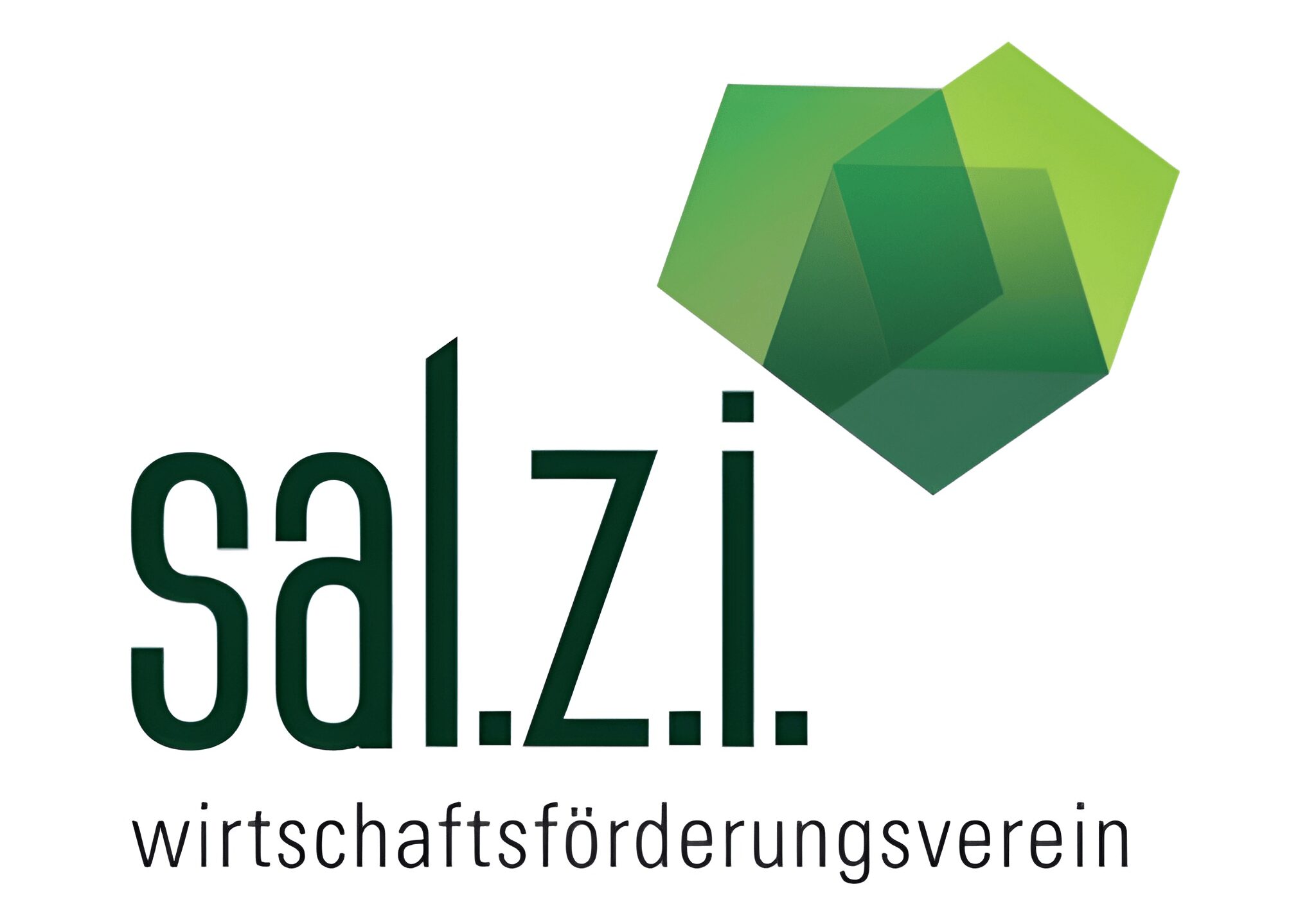 salzi-logo