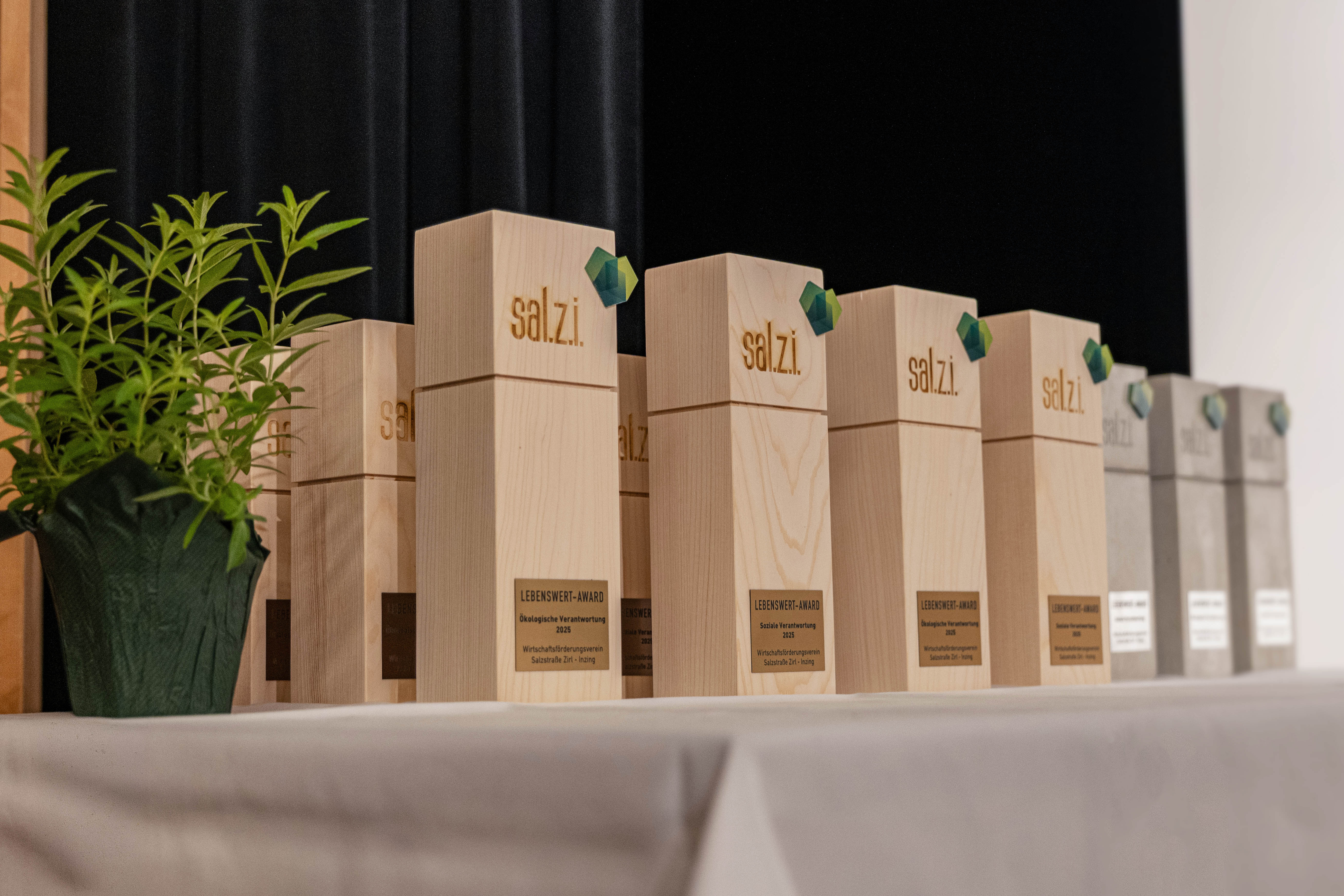 hollu_PR_Sal.z.i_Lebenswert_Award_2