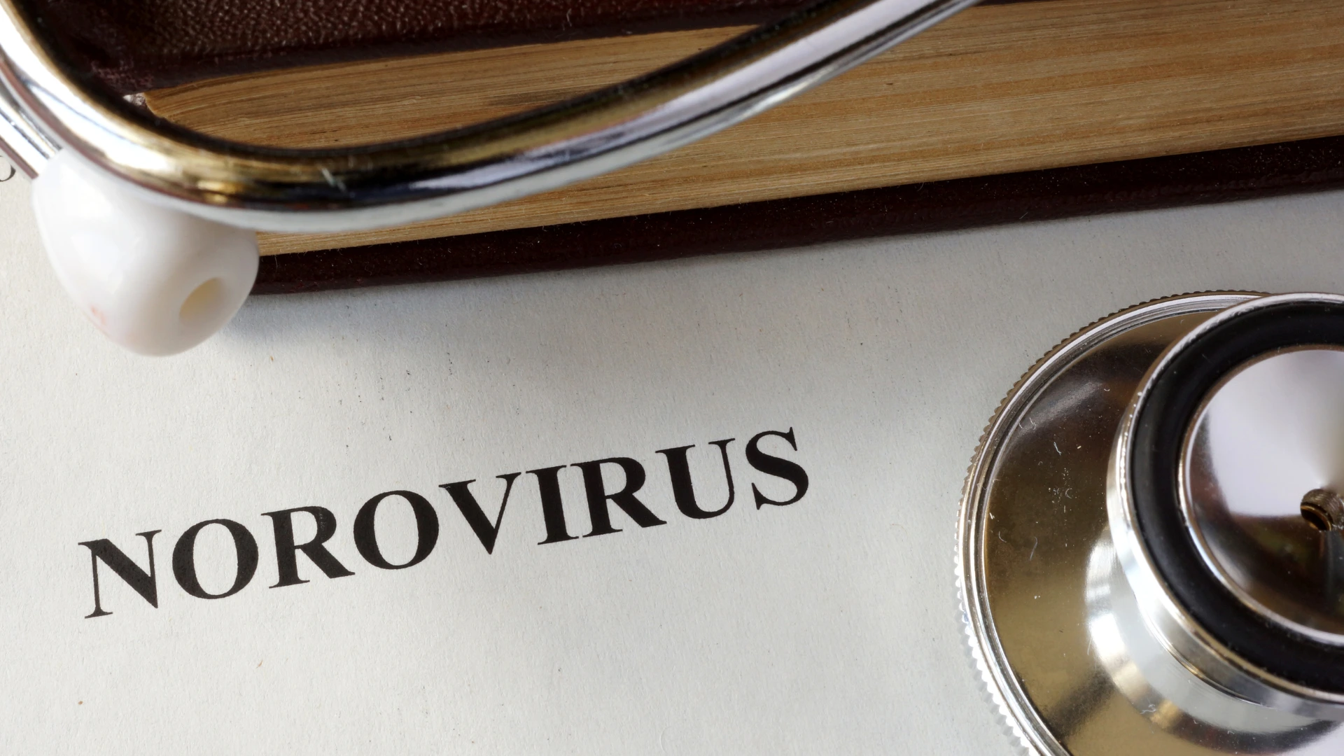 norovirus